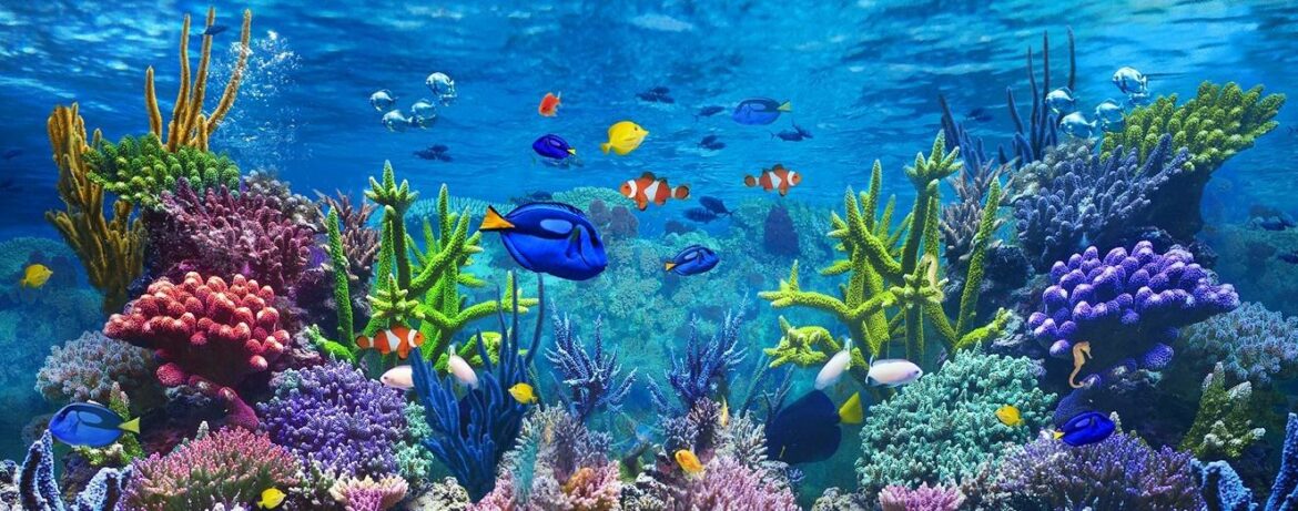 Qui peut estimer les travaux d'une maison ?