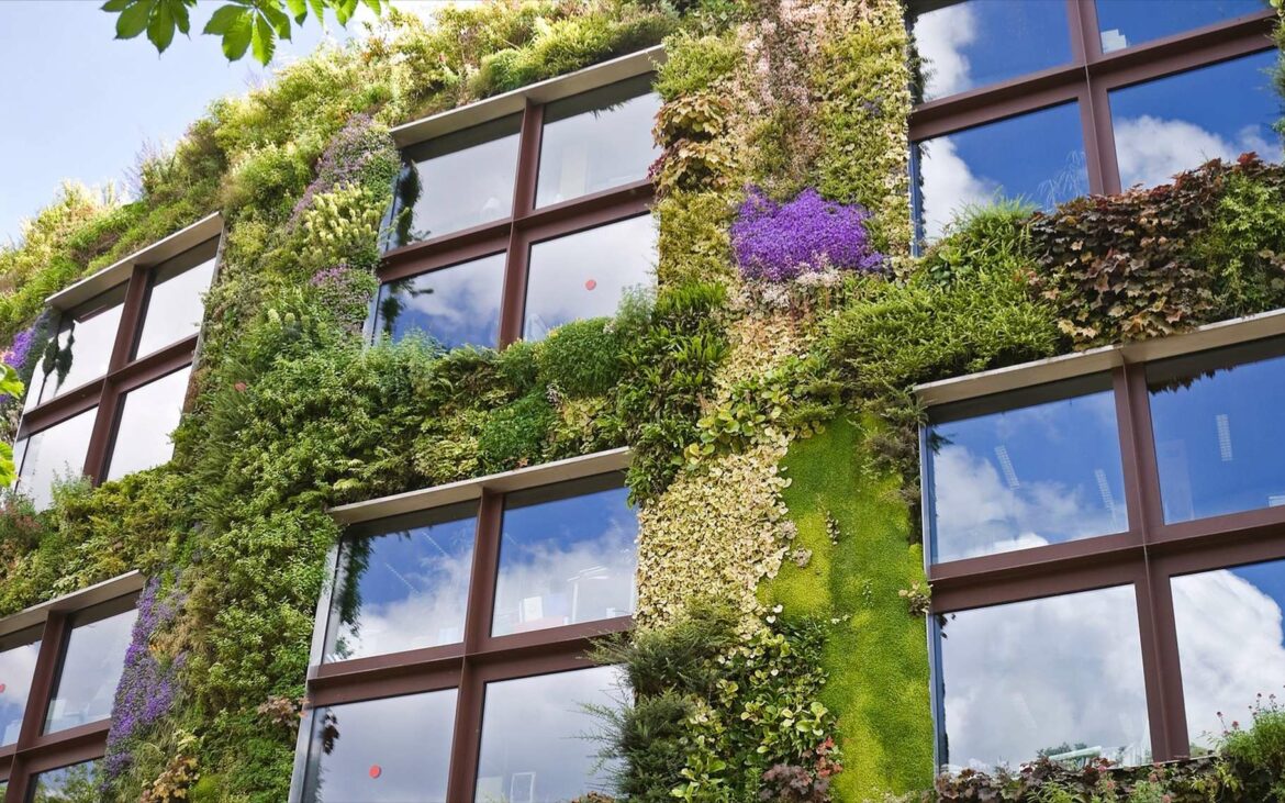 Comment construire un mur végétal extérieur ?