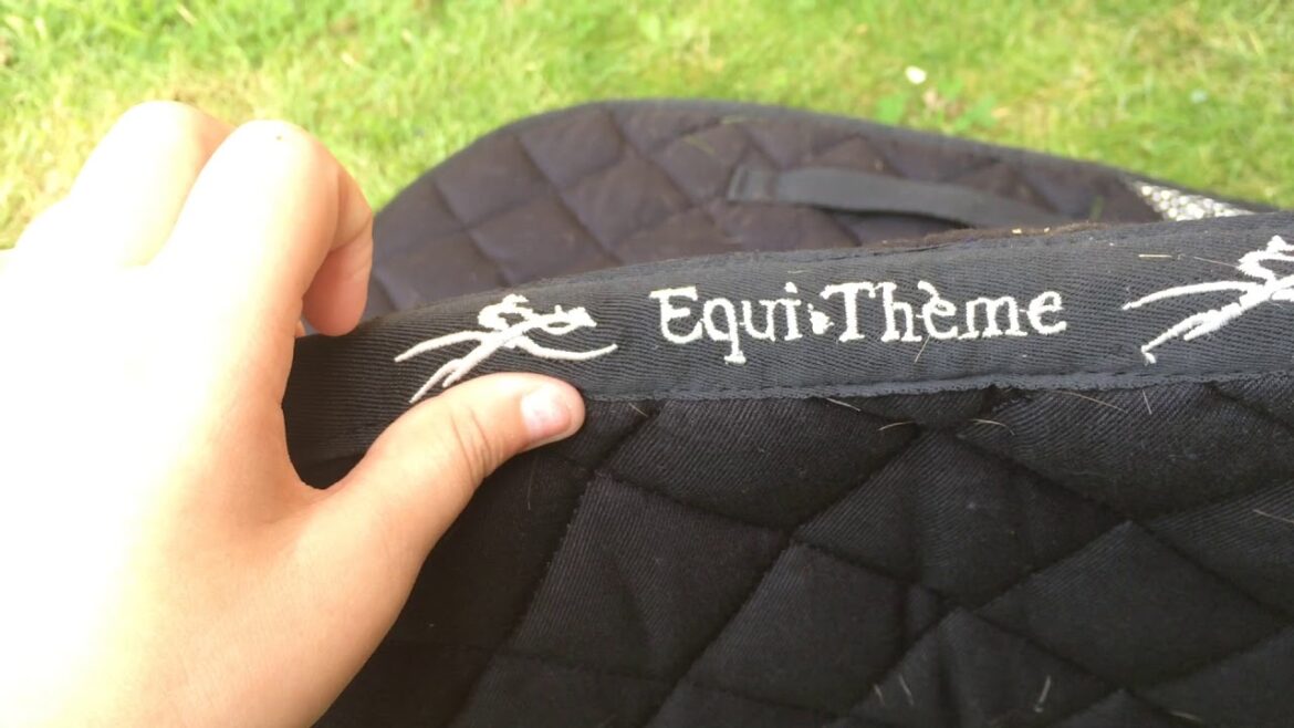 Comment enlever les poils d'un tapis ?