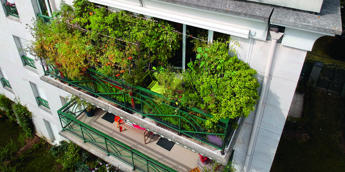 Comment faire de la permaculture sur son balcon ?