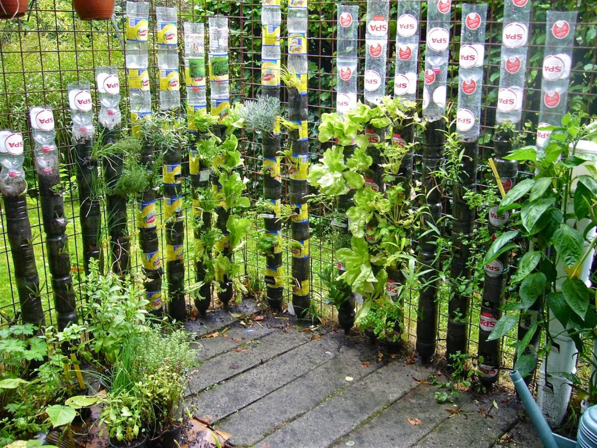 Comment faire un jardin suspendu avec des bouteilles ?