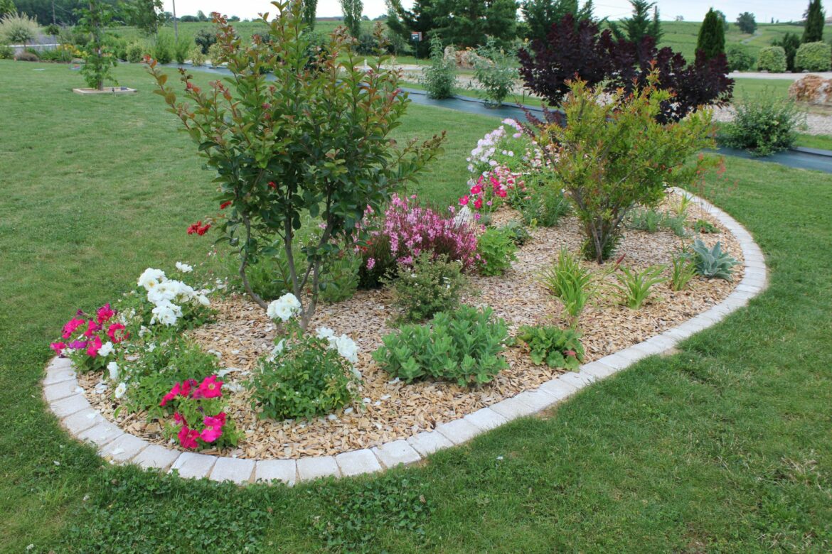 Comment faire un massif de bulbes ?