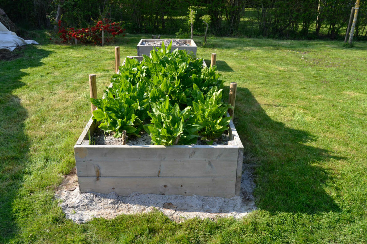 Comment remplir un carré potager surélevé ?