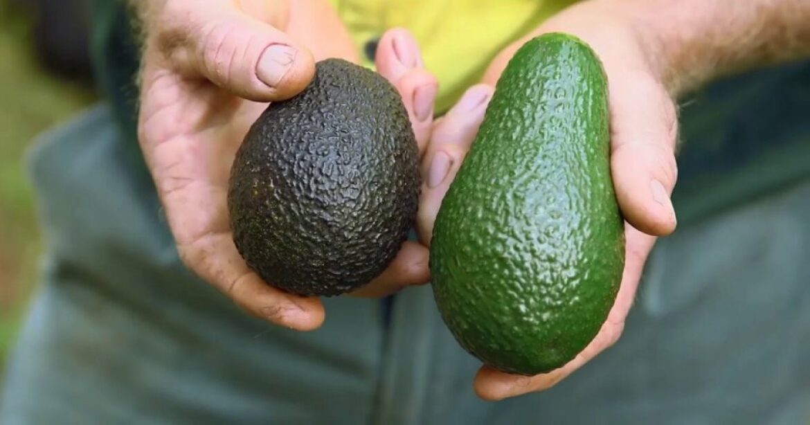 Comment savoir si un mur est bien isolé ?