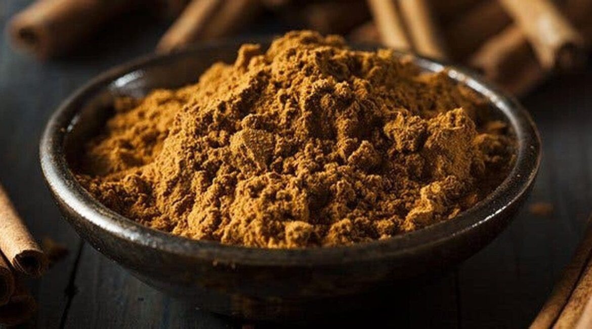 Comment se débarrasser des merles ?