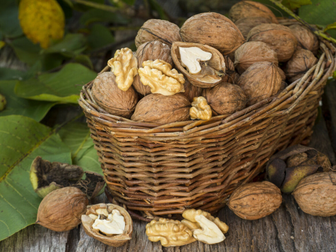 Comment utiliser les feuilles de noix ?