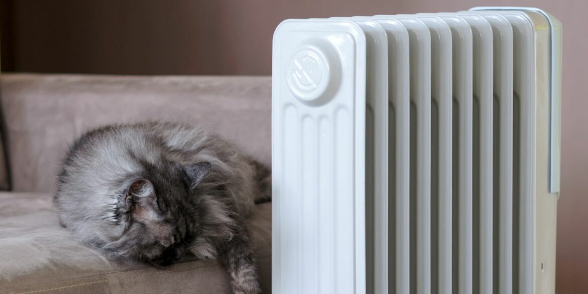 Est-ce qu'un radiateur bain d'huile consomme beaucoup ?