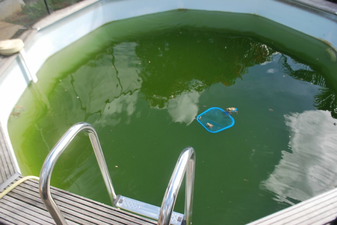 Pourquoi mettre du chlore dans une piscine au sel ? Housekeeping Magazine Idées Décoration