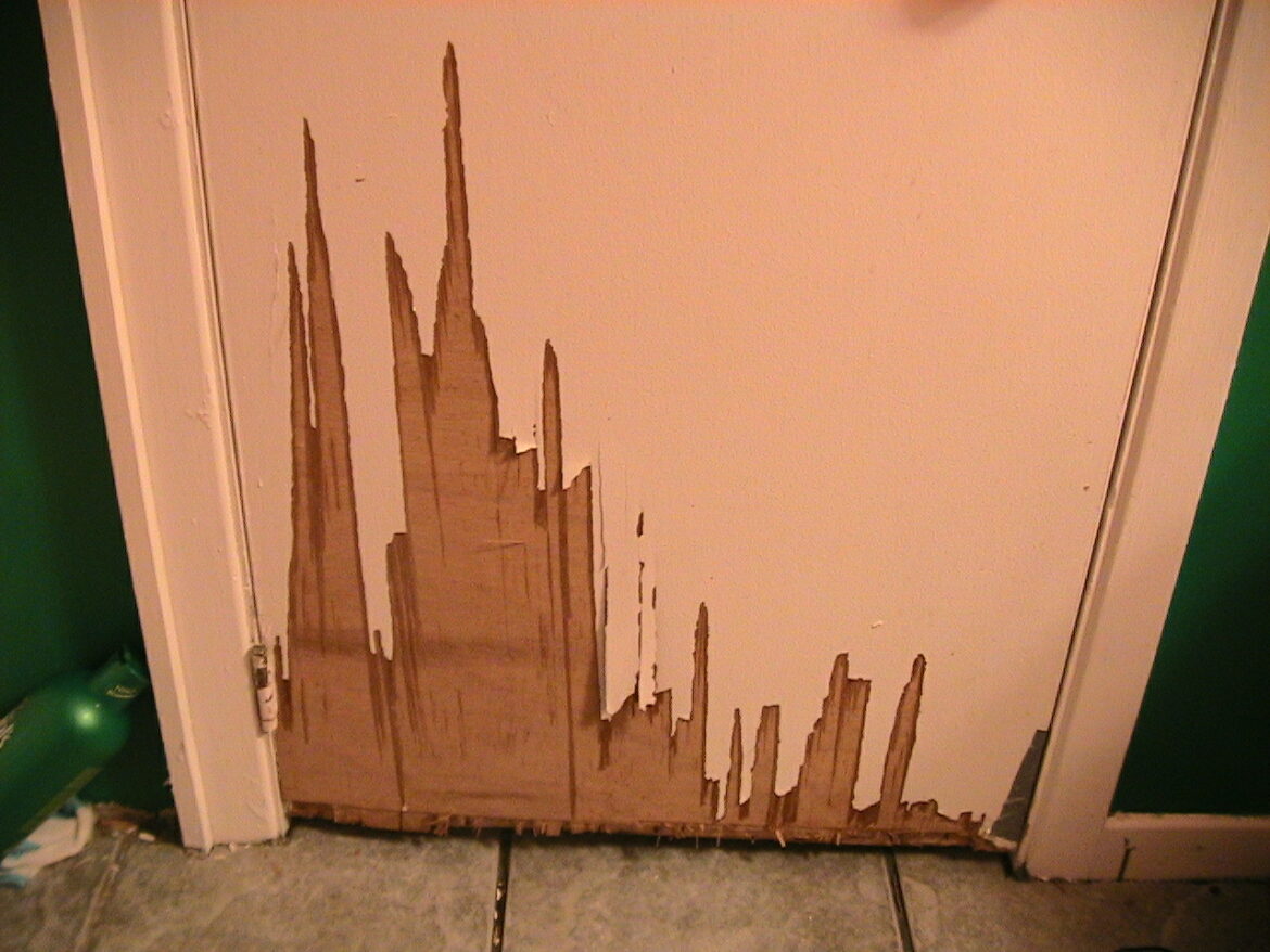 Quelle couleur choisir pour peindre des portes ?