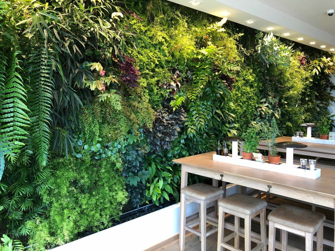 Quelles plantes pour un mur végétal intérieur ?