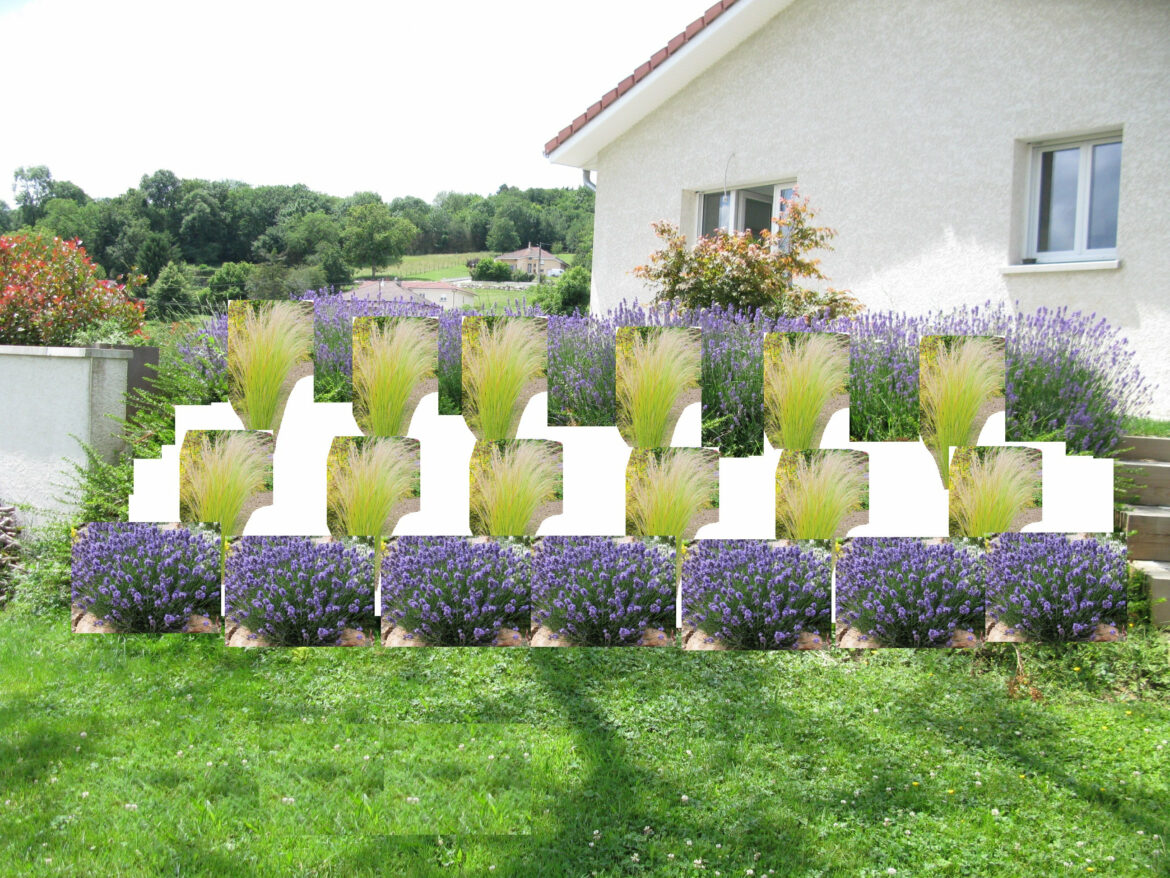 Quelles plantes sur une butte ?