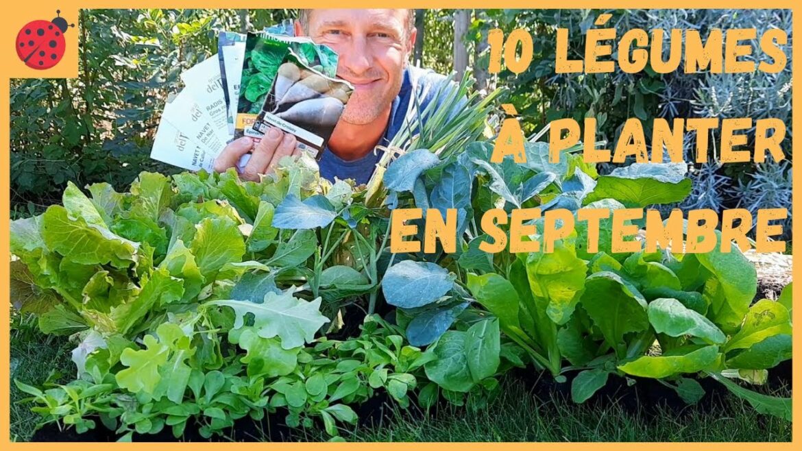 Quels légumes planter en août et septembre ?