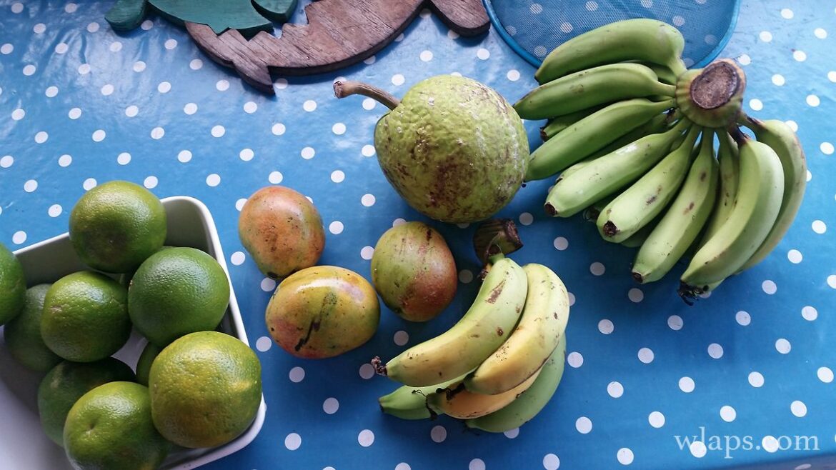 Quels sont les bois exotiques ?