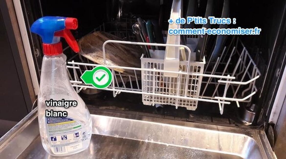 Comment Desinfecter mon Lave-vaisselle ?