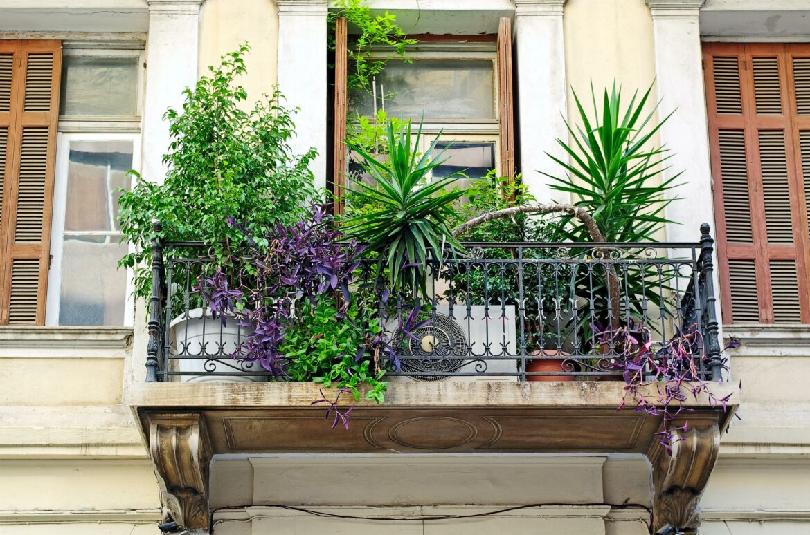 Comment Vegetaliser un balcon ?
