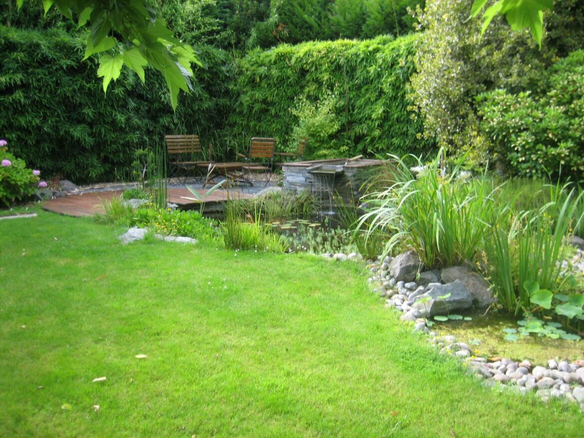 Comment agrémenter mon jardin ?