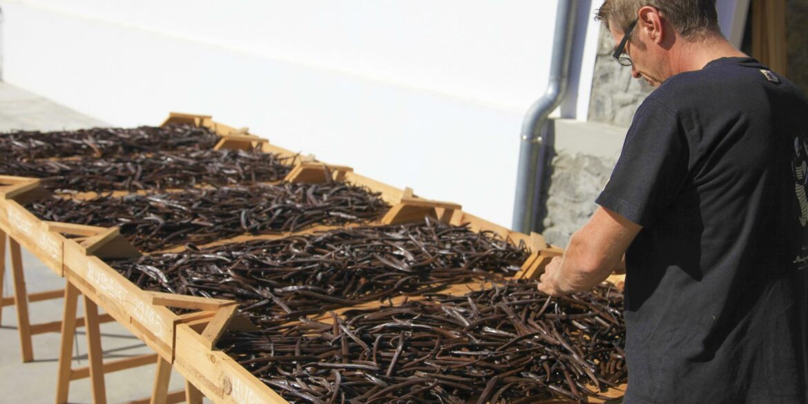 Comment avoir de la vanille ?