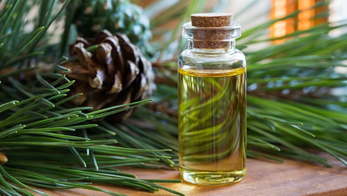 Comment bien utiliser ses radiateurs ?