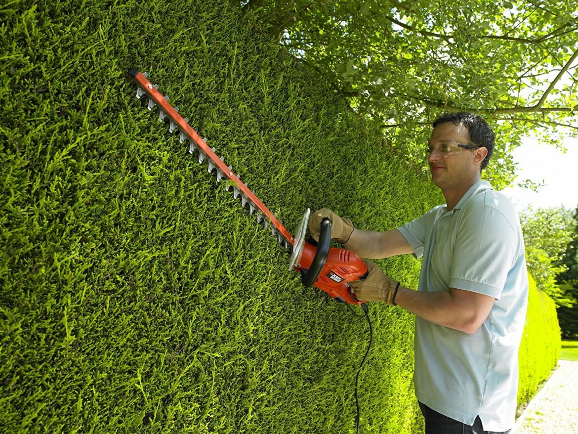 Comment chiffrer une taille de haie ?