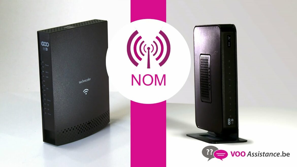 Comment connaître le nom de mon cactus ?