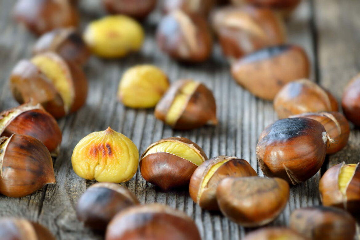 Comment conserver les châtaignes fraîchement ramassées ?