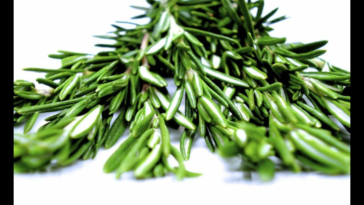 Comment conserver les fines herbes au réfrigérateur ?