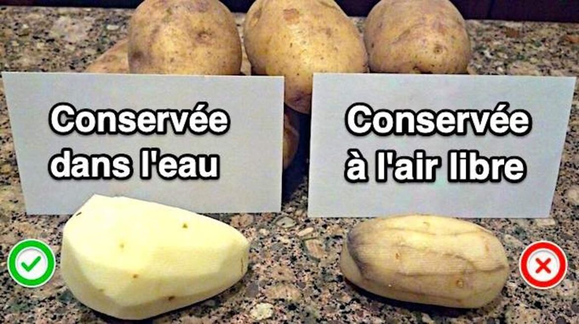 Comment conserver pommes de terre cuites à l'eau ?