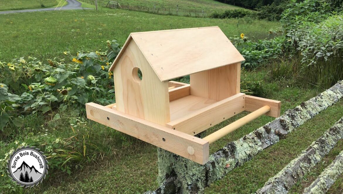 Comment construire une maison d'oiseaux ?