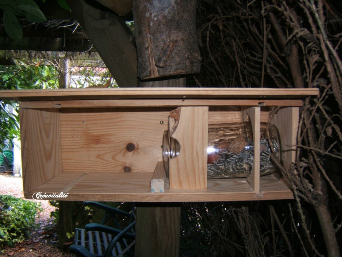 Comment construire une mangeoire pour Ecureuil ?