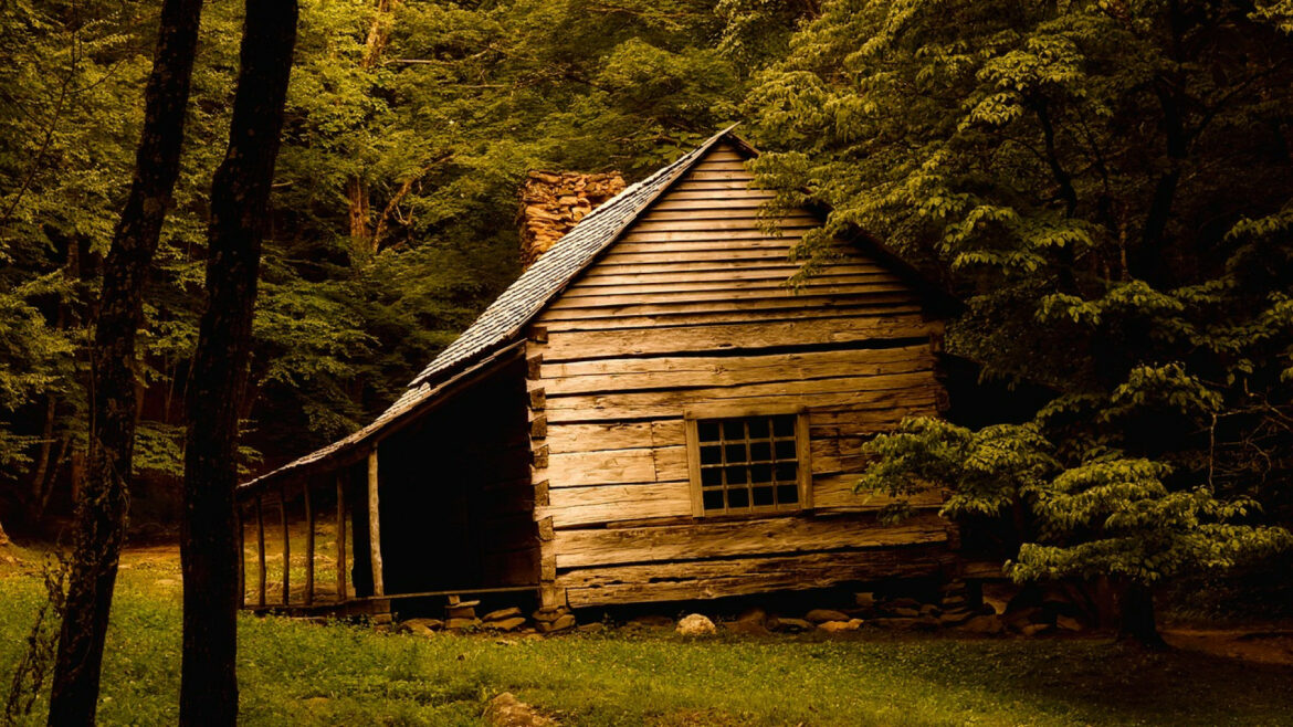 Comment construire une petite cabane en bois ?