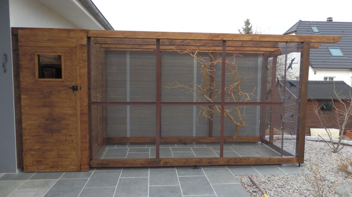 Comment construire une volière extérieure en bois ?