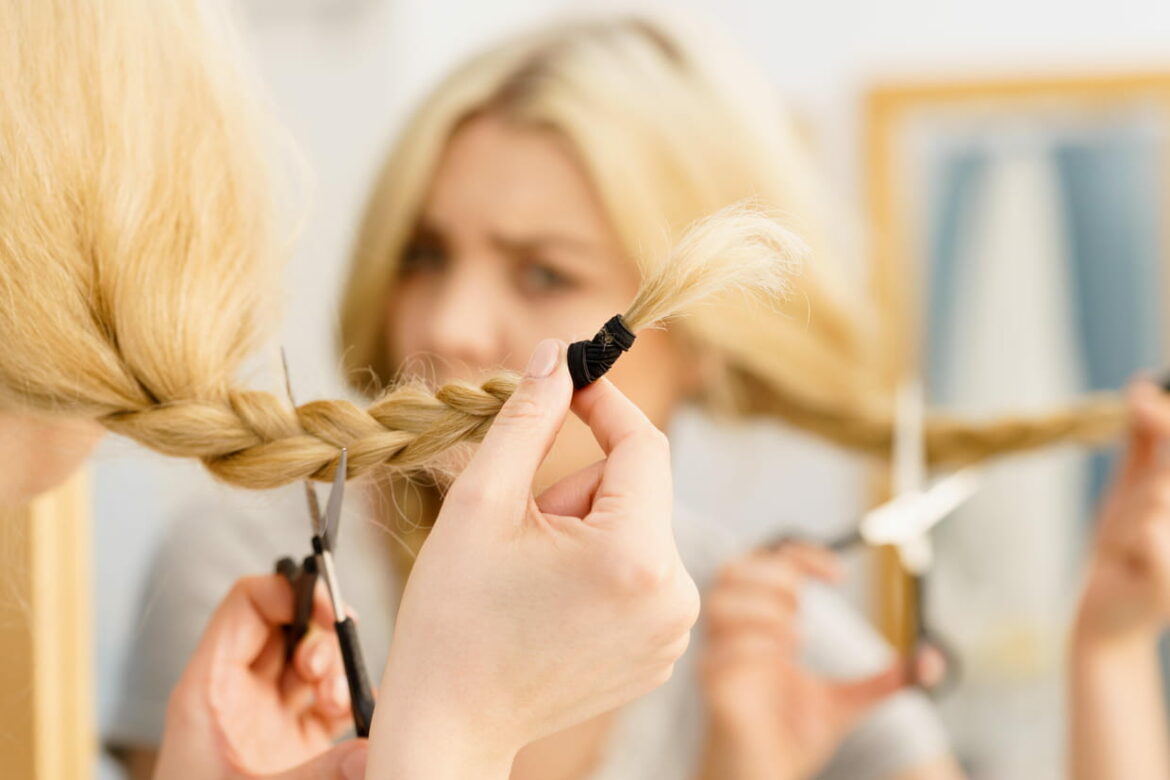 Comment couper le cerfeuil ?