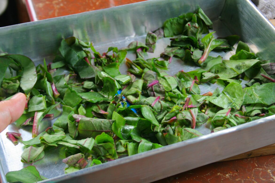 Comment cuisiner les feuilles de gingembre ?