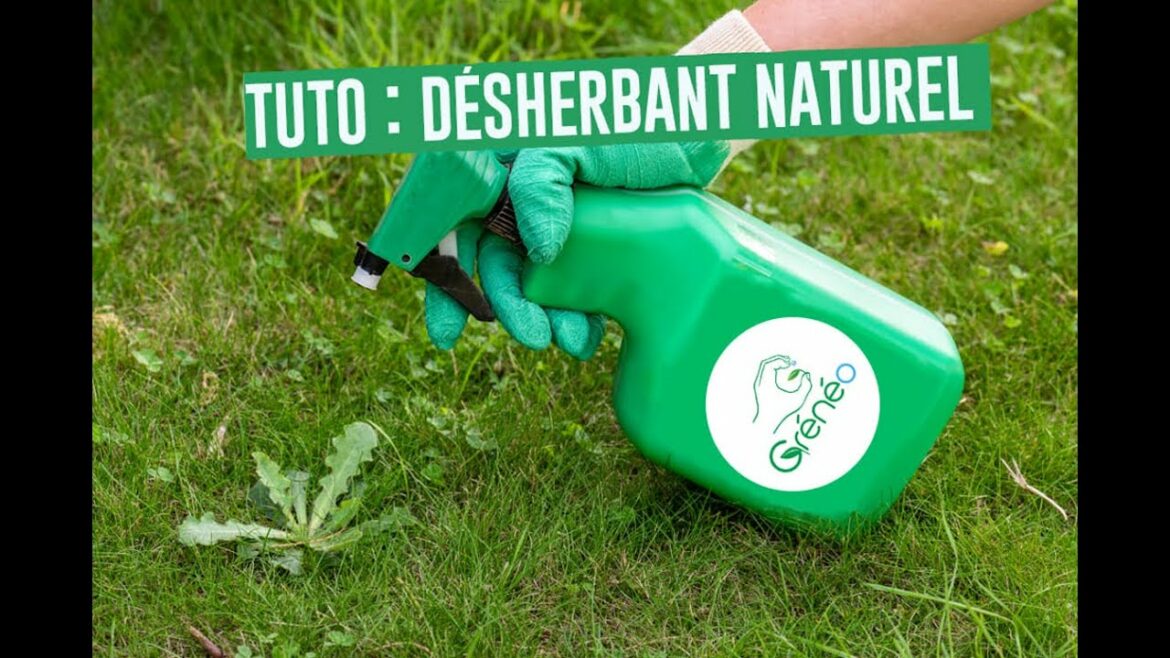 Comment désherber avec du vinaigre ?