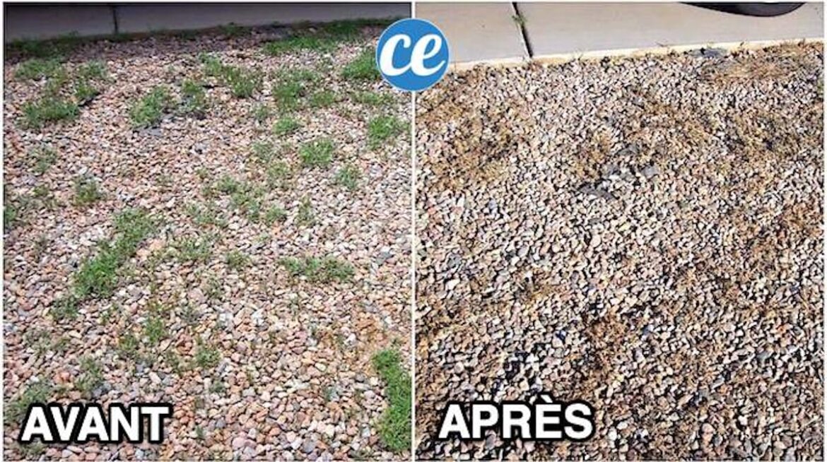 Comment désherber dans les cailloux ?