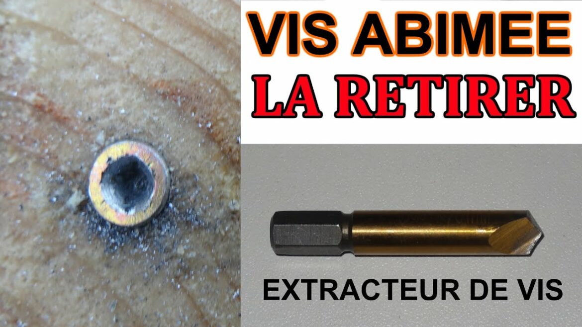 Comment enlever une vis BTR ?