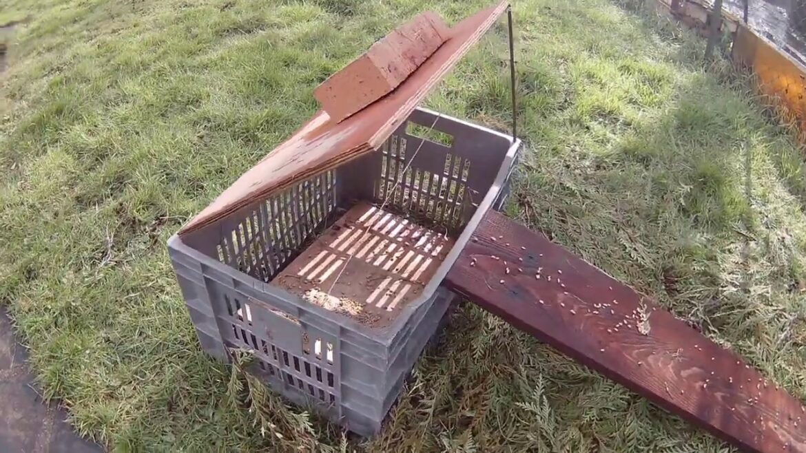 Comment fabriquer un À-valoir ?