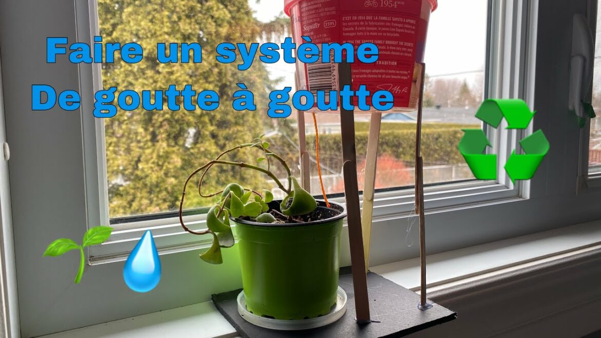 Comment fabriquer un goutte à goutte maison ?