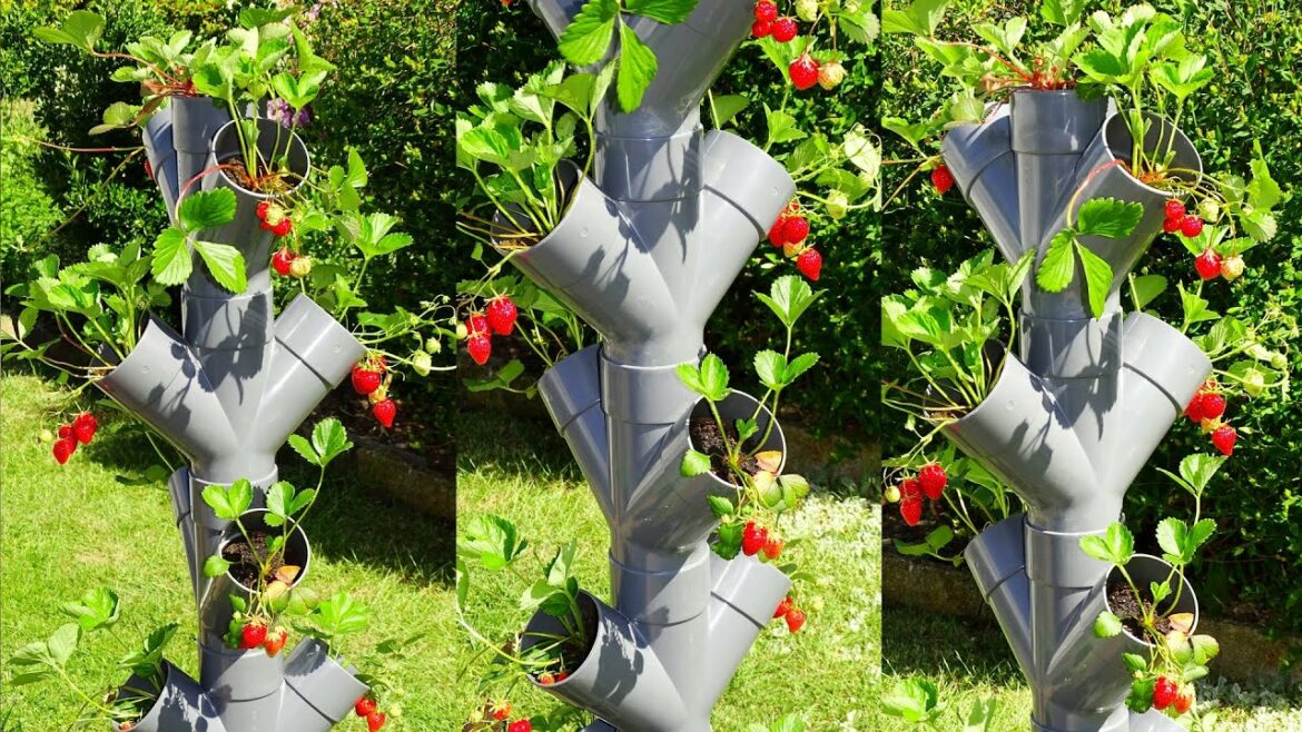 Comment fabriquer une tour à fraises ?