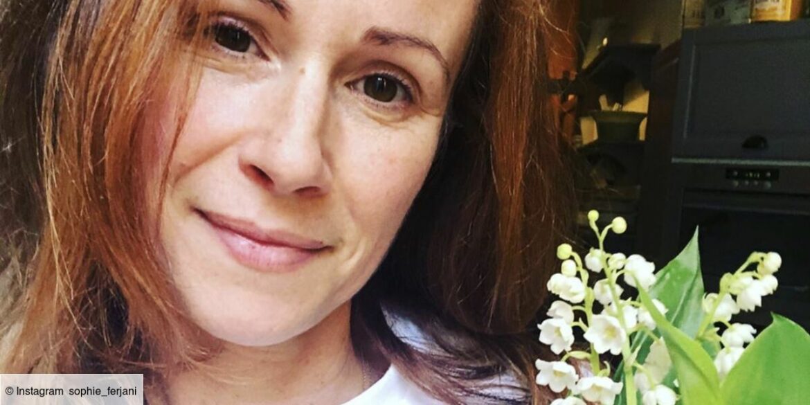 Comment faire appel à Sophie Ferjani ?
