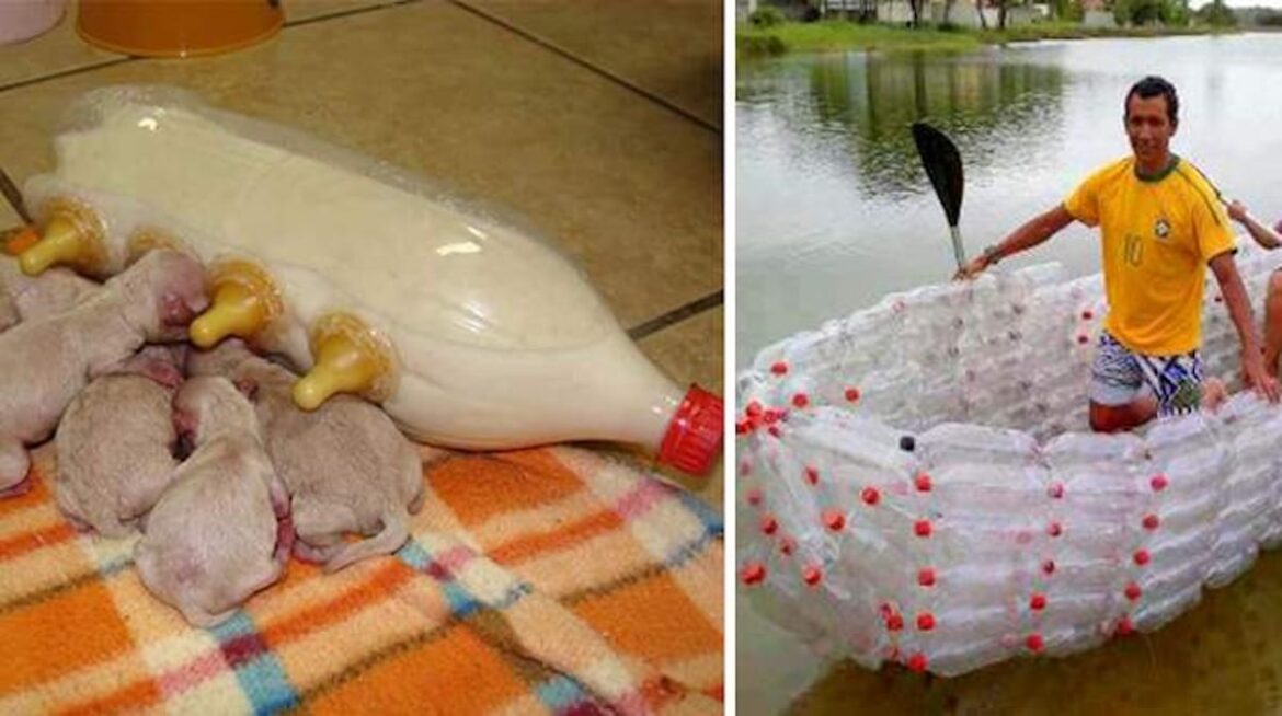 Comment faire de la lumière avec une bouteille d'eau ?