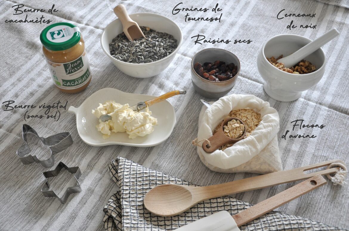 Comment faire des boules de graisse avec des graines pour les oiseaux ?