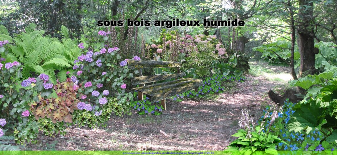 Comment faire des plantations sous un arbre ?