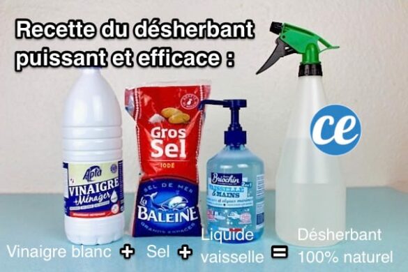 Comment Faire Du Désherbant Avec Du Vinaigre Blanc Et Du Gros Sel Housekeeping Magazine 4412