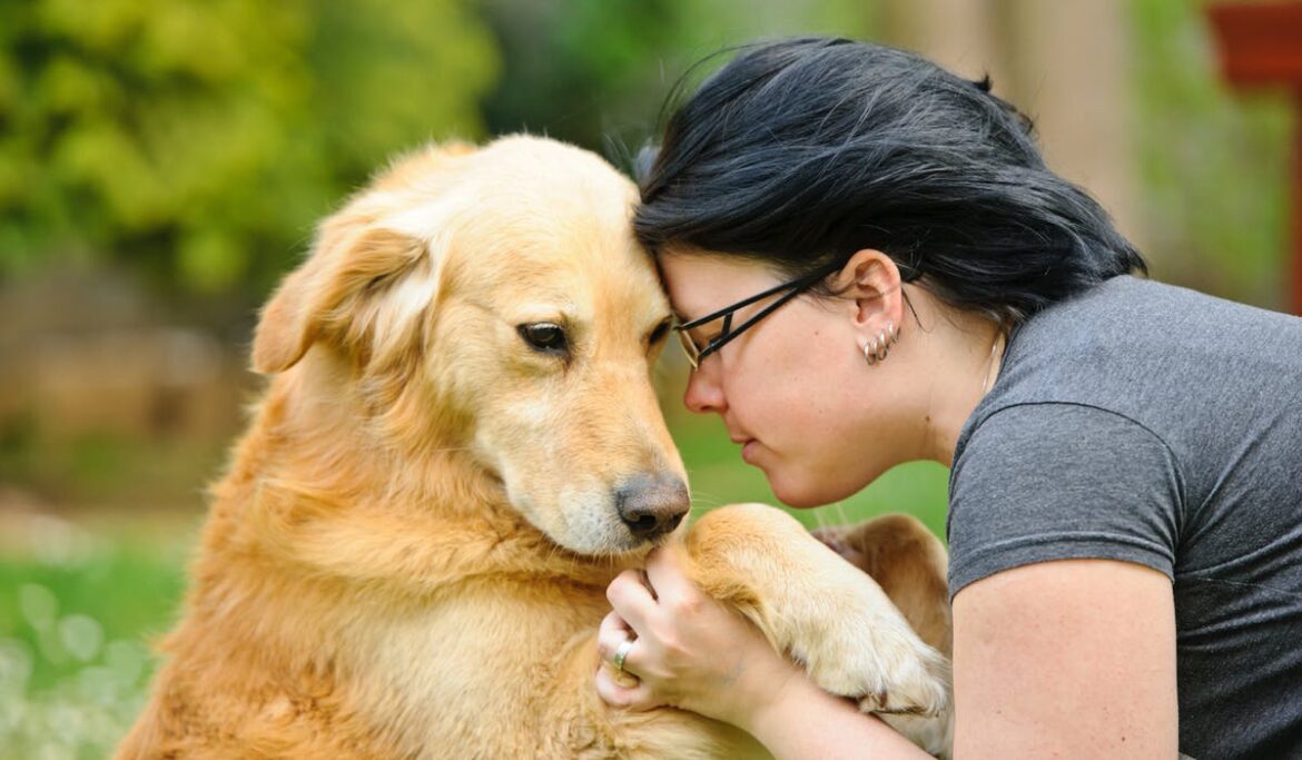 Comment faire quand on ne peut pas garder son chien ?