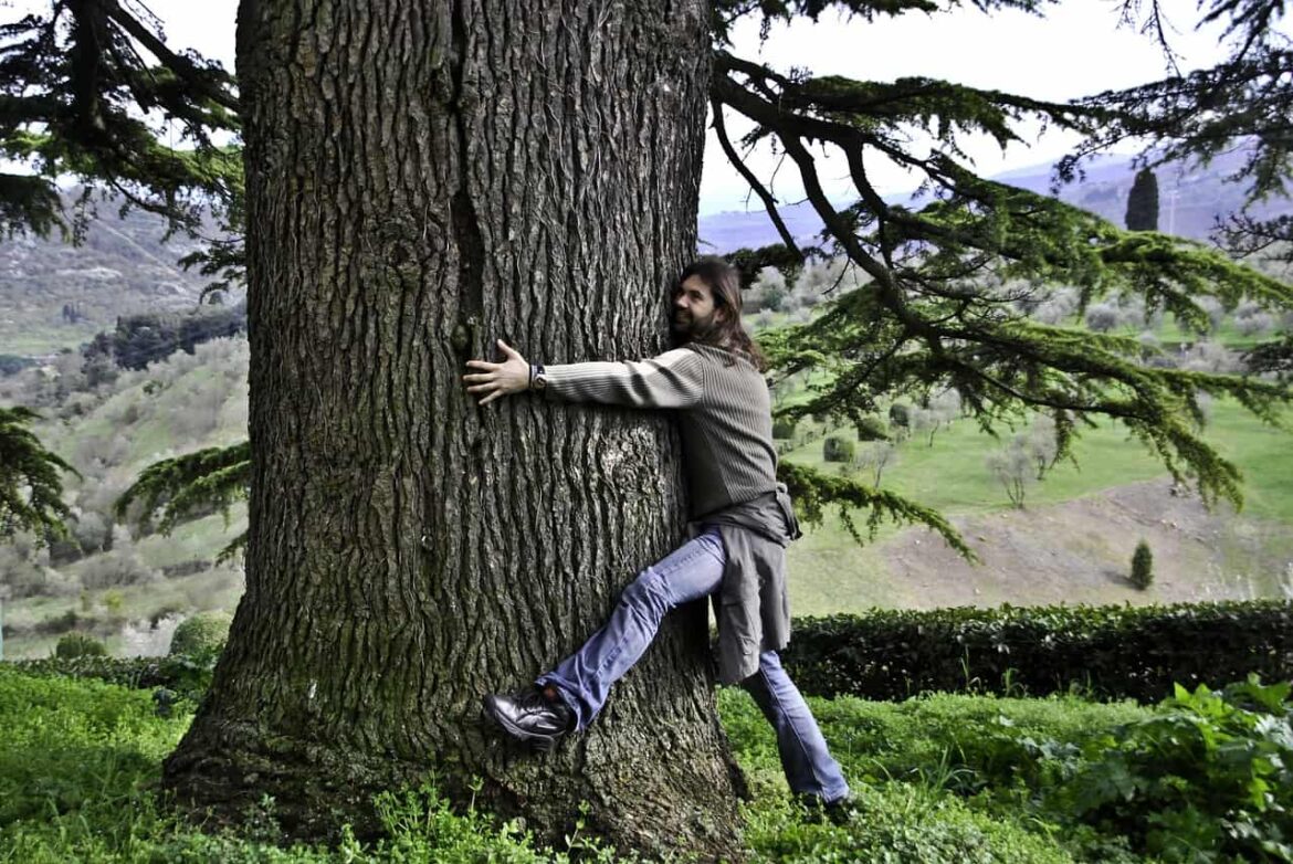 Comment faire un calin à un arbre ?