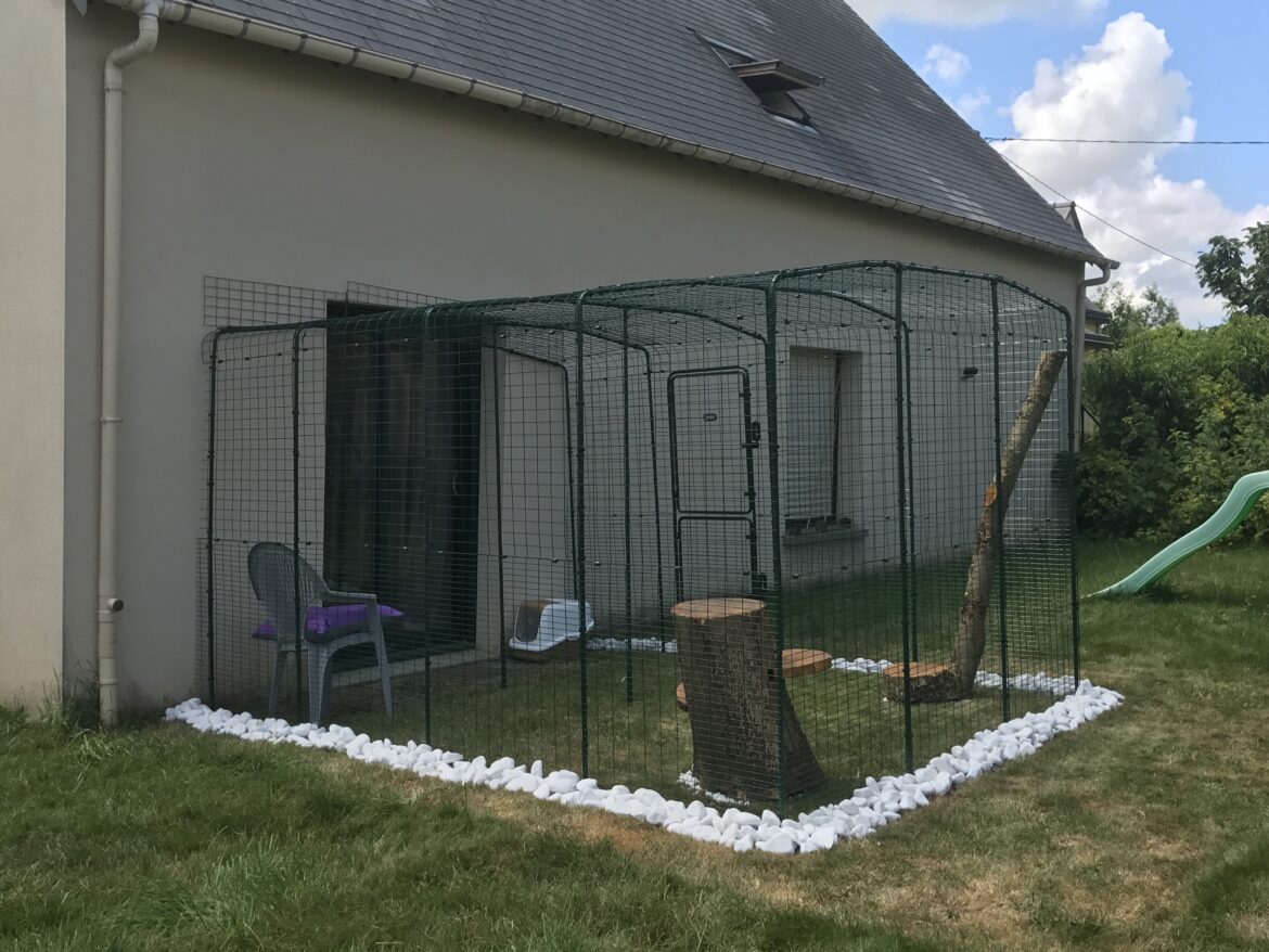 Comment faire un enclos pour chat ?
