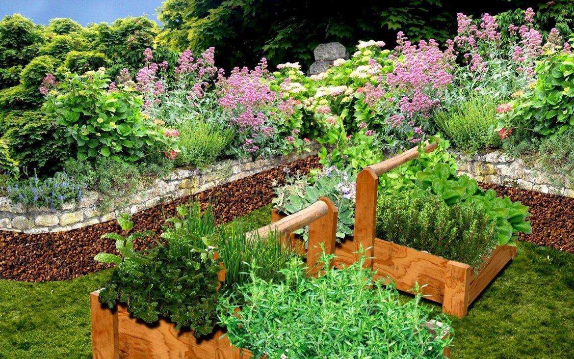 Comment faire un jardin d'herbes aromatiques ?
