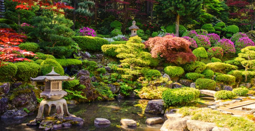 自宅で日本庭園を作るには？ -ハウスキーピングマガジン：装飾の 