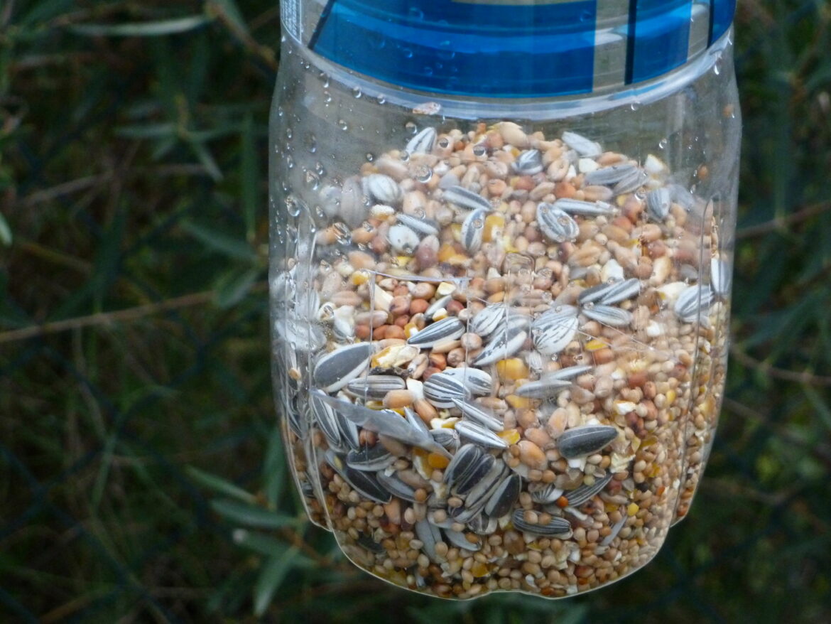 Comment faire un nichoir à oiseaux avec une bouteille ?